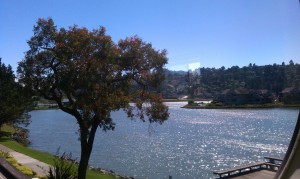 View from a Healus Center window